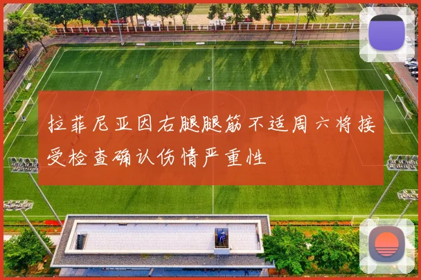 拉菲尼亚因右腿腿筋不适周六将接受检查确认伤情严重性