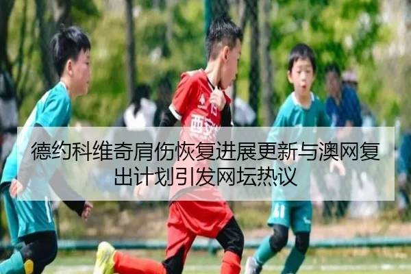 德约科维奇肩伤恢复进展更新与澳网复出计划引发网坛热议